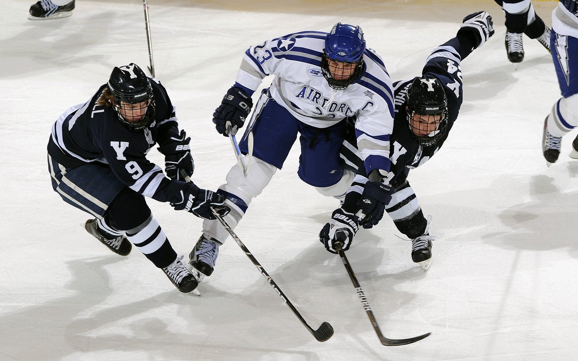 体育教育助力青少年全面发展，校园运动热潮再升级